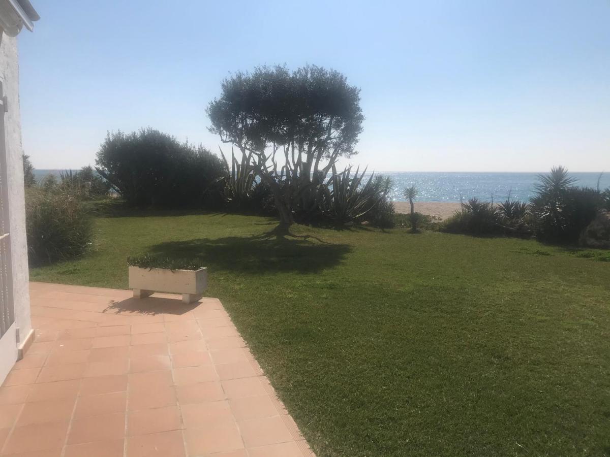 Amazing In Front Of The Sea Apartment Coma-ruga Exterior photo